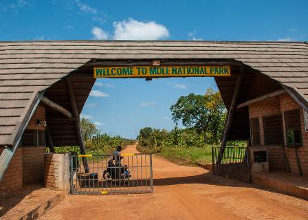 mole-national-park-1